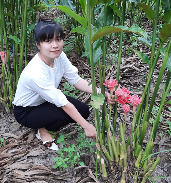 Người phụ nữ gửi khát vọng vào hoa sen Đa Lộc